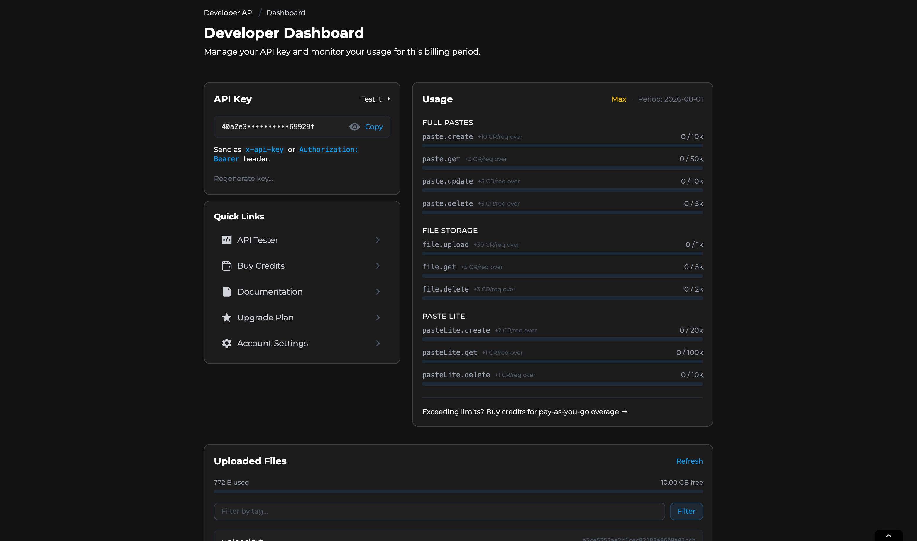 AnonPaste Developer Dashboard showing API keys and usage