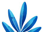 Middle plant decoration