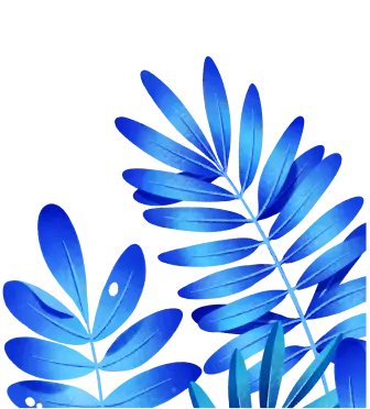 Right plant decoration